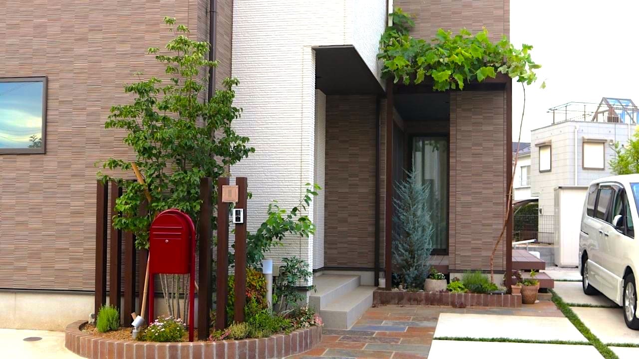 庭木におすすめのヤマボウシ