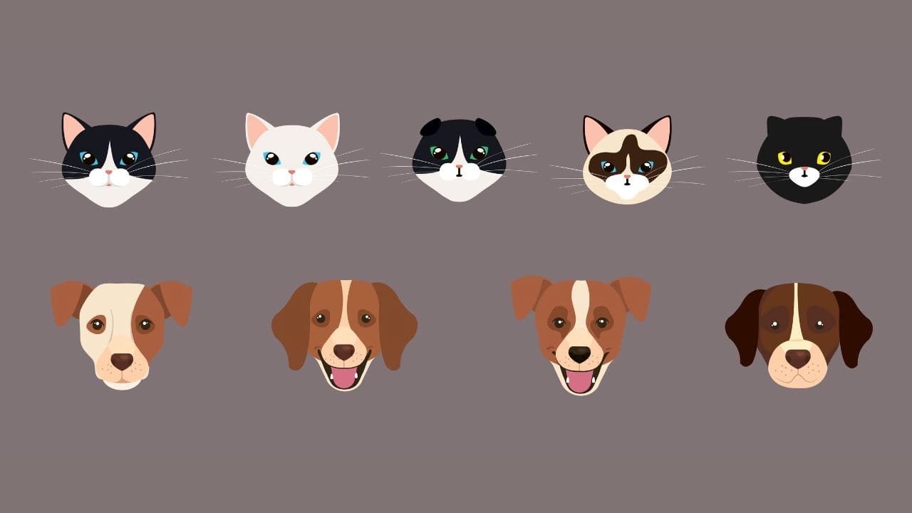 タイプのイラスト