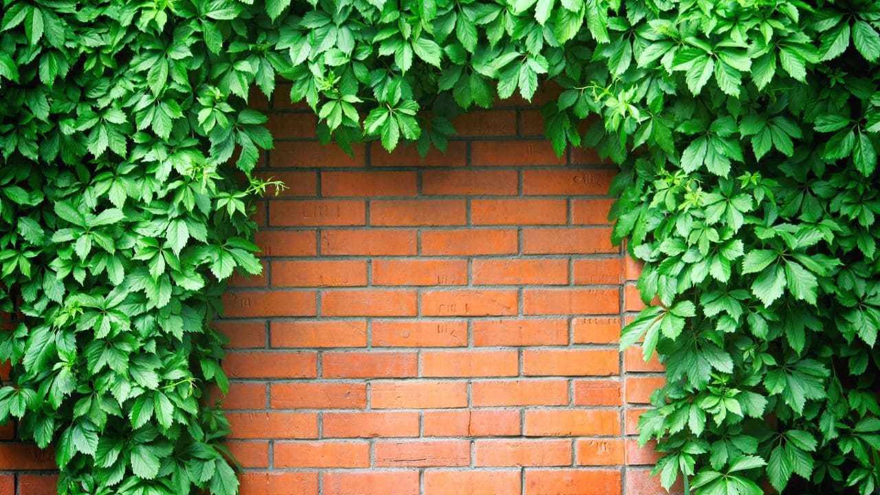 横浜の赤レンガ
倉庫に使われているレンガ