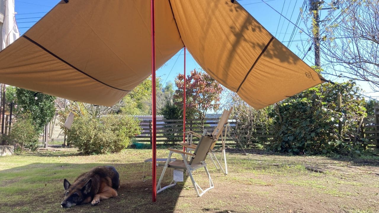庭で犬を遊ばせるドッグランの画像