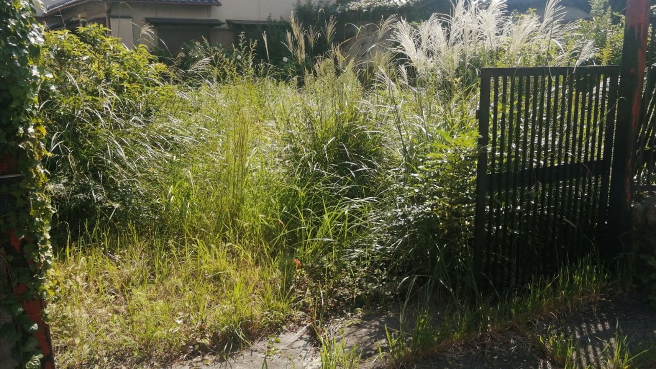 荒れた庭の画像