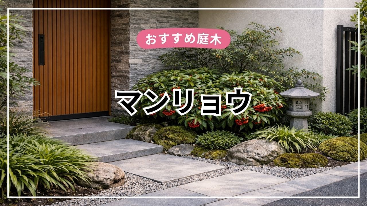 マンリョウは庭木におすすめ【特徴・育て方・剪定・後悔ポイントまで解説】