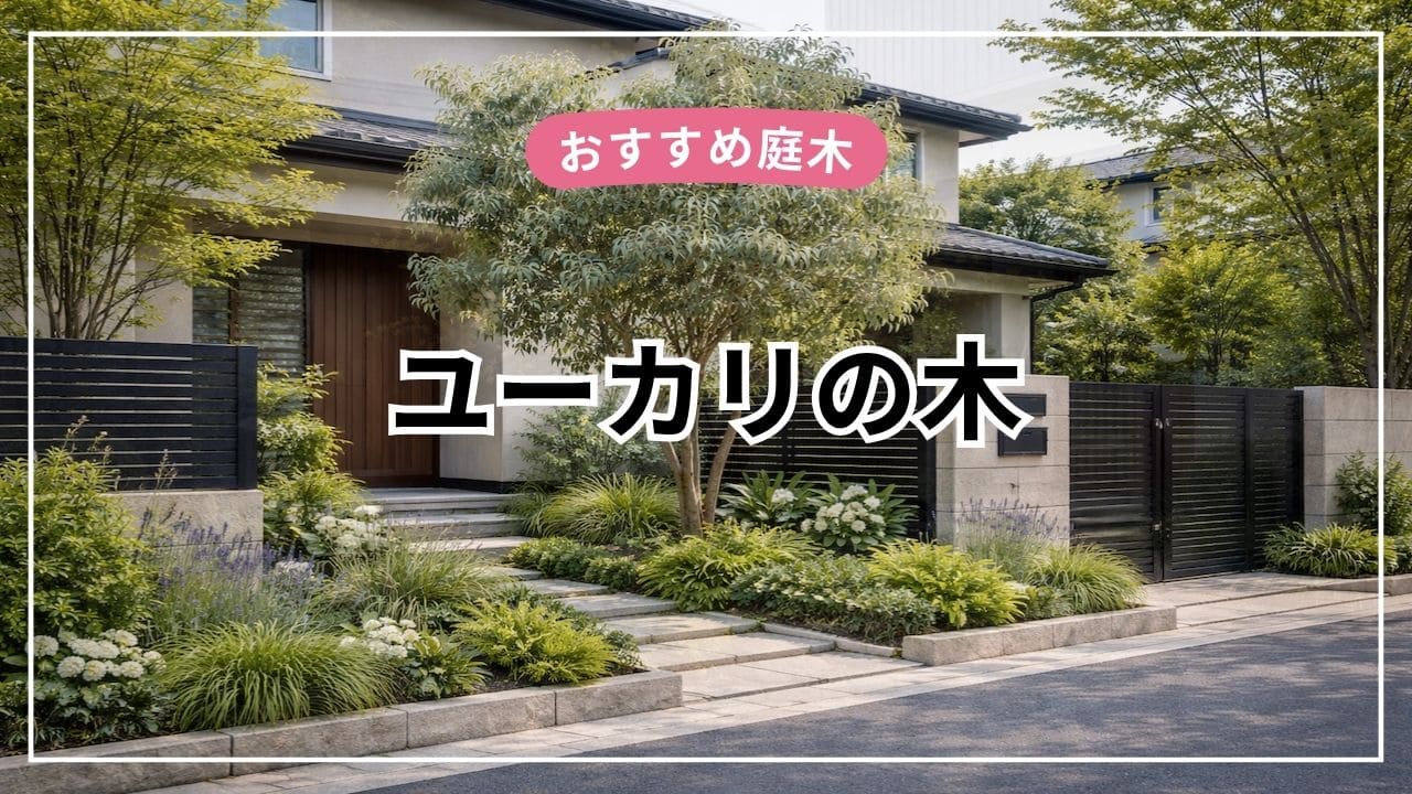 ユーカリの木は庭木におすすめ【特徴・育て方・剪定・後悔ポイントまで解説】