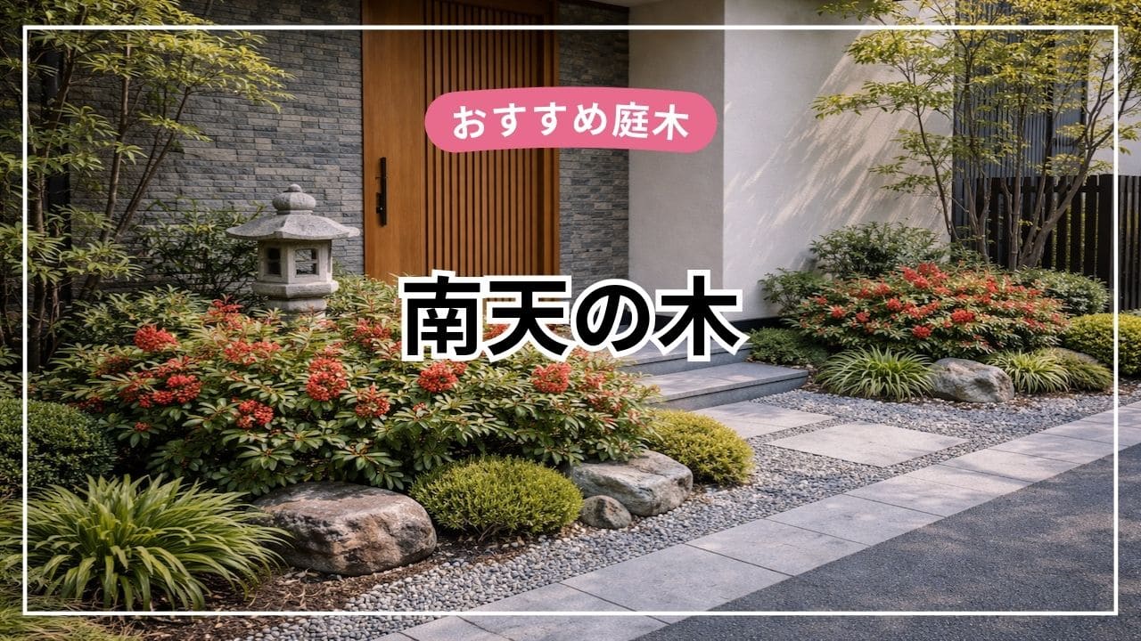 ナンテンは庭木におすすめ【特徴・育て方・剪定・後悔ポイントまで解説】