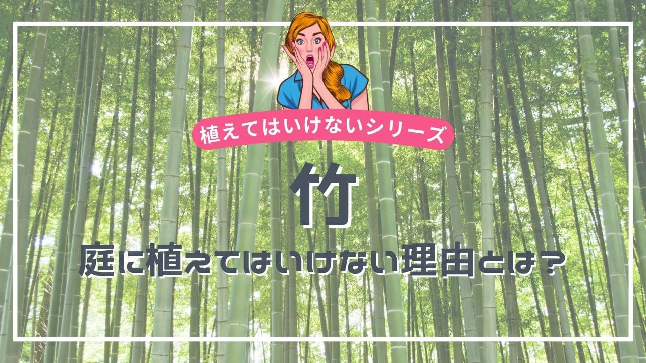 竹を庭に植えてはいけない理由・デメリット5選😱【メリットも5つ解説】