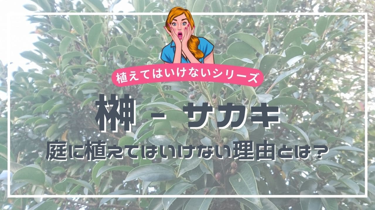 榊を庭に植えてはいけない理由・デメリット3選😱【メリットも5つ解説】