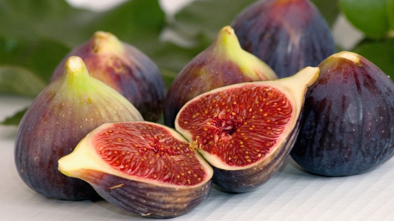 イチジクの実